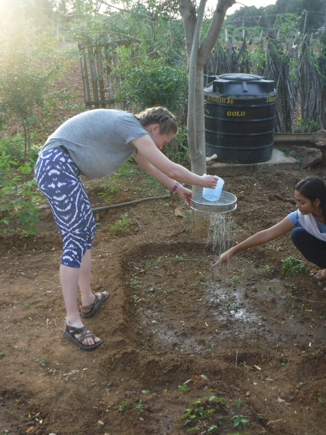 My yoga instructor taught me more than postures - gardening in India too!  The pictured method  simulates rainfall.
